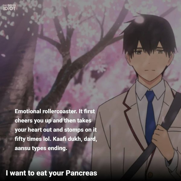 Thumbnail of b-h3qykhzup-a23e5f4b37654066 8