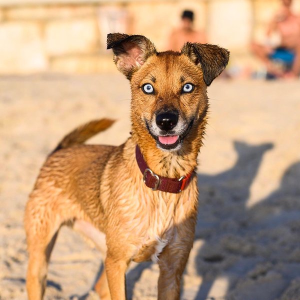 Thumbnail of b1km-knnlpq-a24e66c92d88439c 0