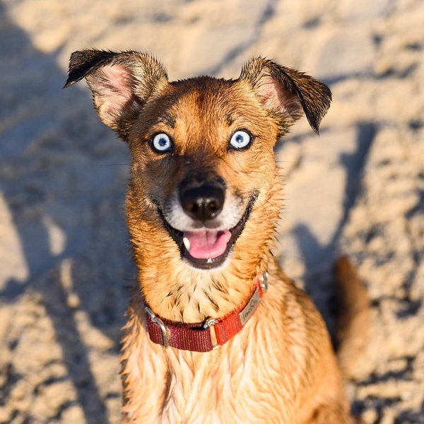 Thumbnail of b1km-knnlpq-a24e66c92d88439c 1