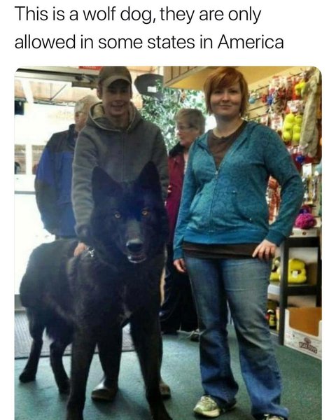 Thumbnail of p-bjfenj3l4x5-a252d660d224467e 0