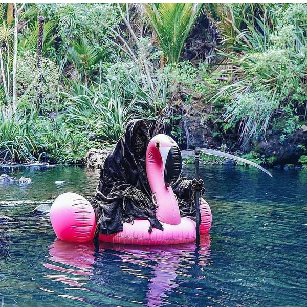 Thumbnail of p-bmu6bp0fd8t-a2865d372ec64674 1