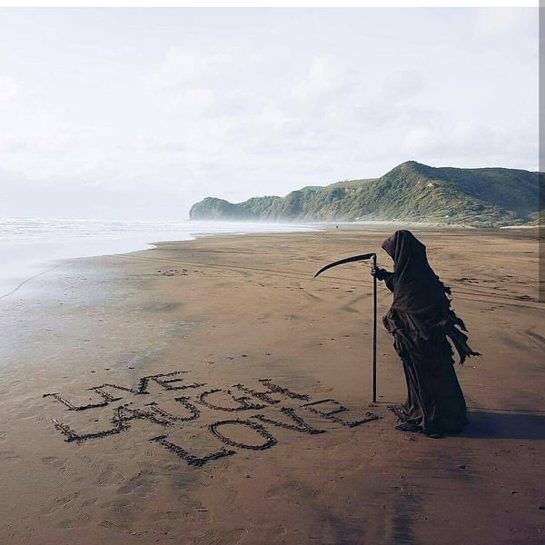 Thumbnail of p-bmu6bp0fd8t-a2865d372ec64674 2