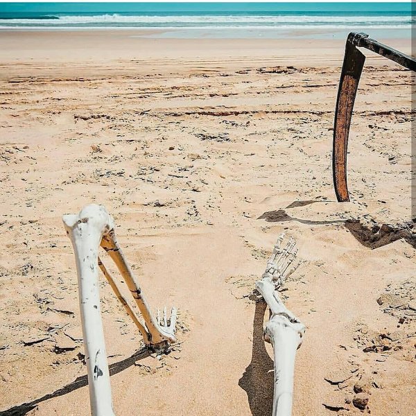 Thumbnail of p-bmu6bp0fd8t-a2865d372ec64674 7