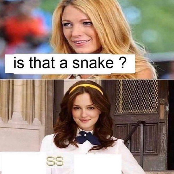 Thumbnail of b-iugdmlhrc-a2bf2e320f954fac 3