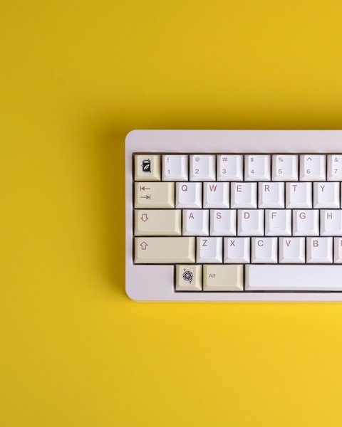 Thumbnail of p-cbicay4uwlx-a2f6dc851006454b 0