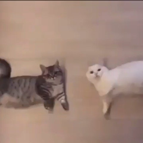 Thumbnail of p-b1caxbmjitr-a2fcf36366b84931 1