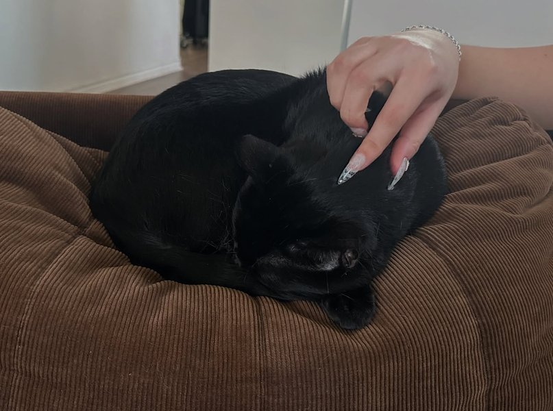 Thumbnail of dgbvdb6j-lg-a33d2dc84f4b4e98 1