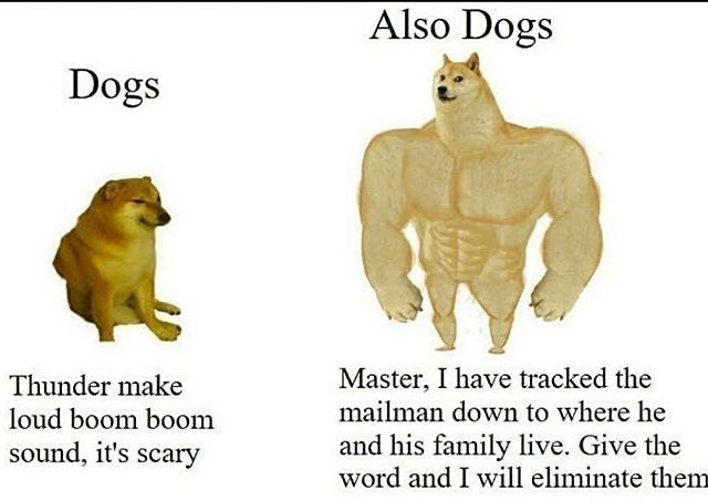 Thumbnail of p-ca8q7pulv4v-a37535180f184aff 0