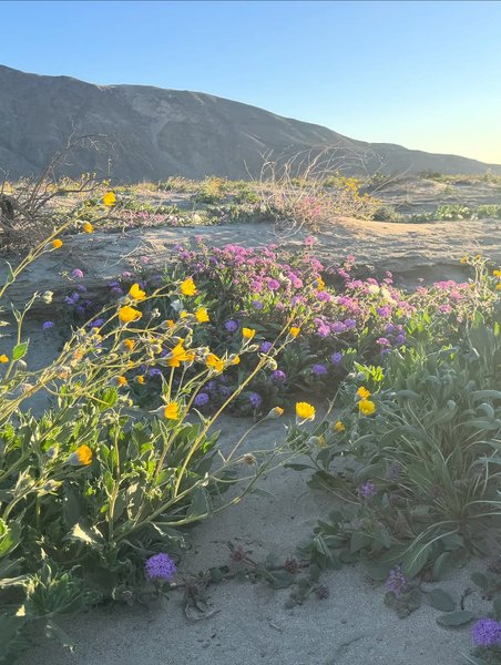 Thumbnail of www-instagram-com-p-dr0mnc2j2gh-img-index-3 2