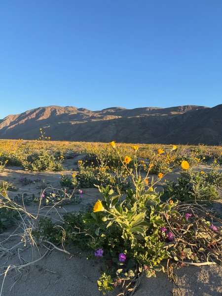 Thumbnail of www-instagram-com-p-dr0mnc2j2gh-img-index-3 4