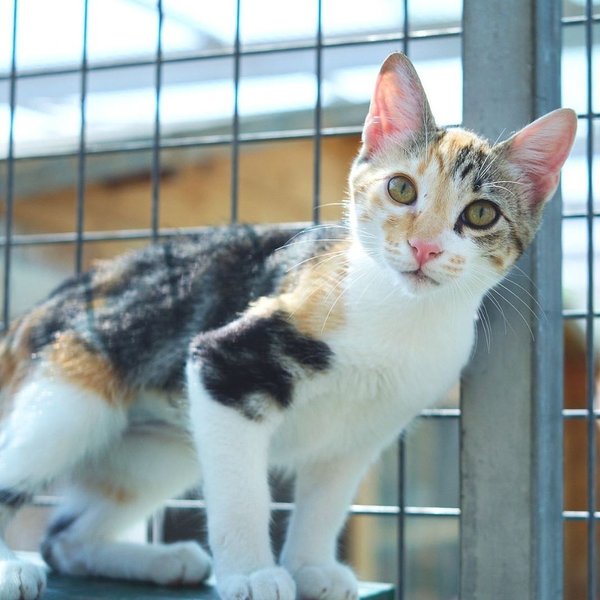 Thumbnail of p-csl9j2hiahw-a379be64c0c74134 0