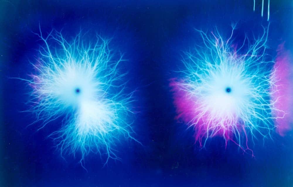 Thumbnail of www-x-com-brianroemmele-status-1583877883843395584-a39e4917eee140c9