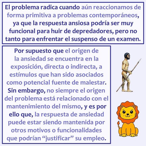 Thumbnail of p-cvgg7g1tfbs-a3bffbbecfe640b1 2