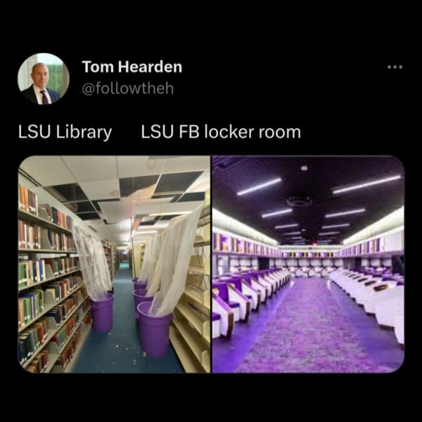 Thumbnail of p-dim8vlybqzi-a3ef6518682b4d2b 13