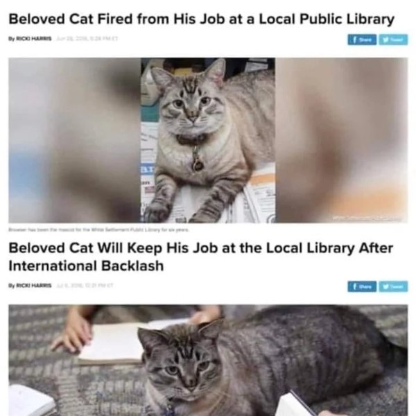 Thumbnail of p-dim8vlybqzi-a3ef6518682b4d2b 16