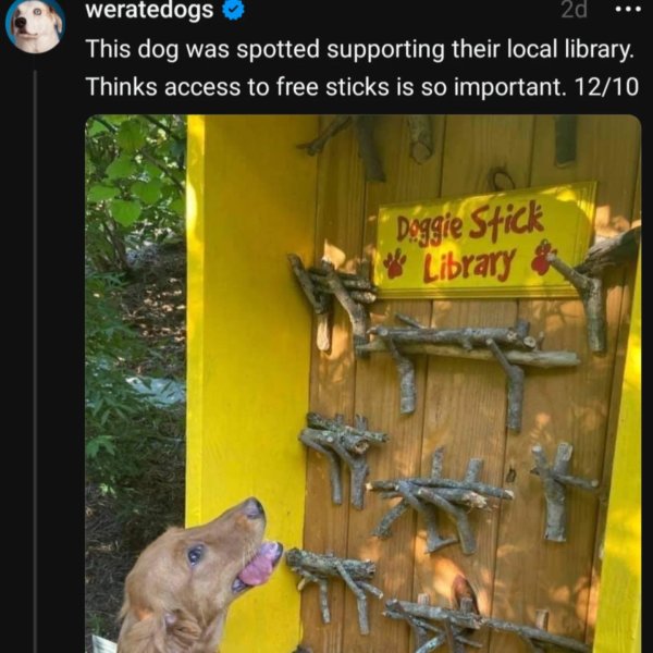 Thumbnail of p-dim8vlybqzi-a3ef6518682b4d2b 3