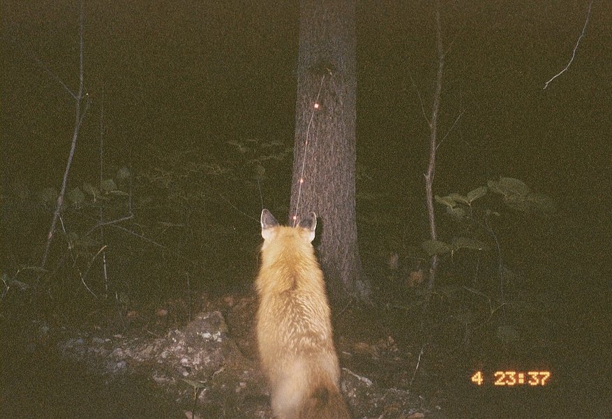 Thumbnail of p-dedf7n1uplp-a40335a9c6ba4967 2
