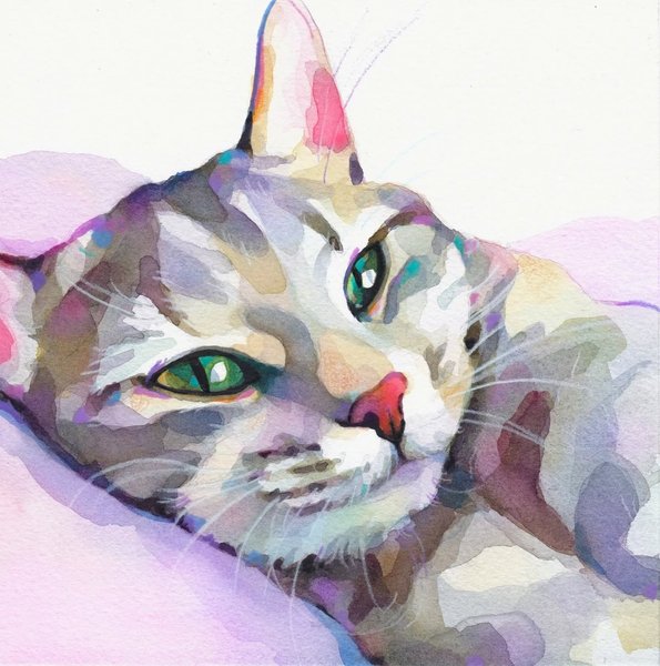 Thumbnail of p-cq8mag3i491-a415c0c311324ebc 0