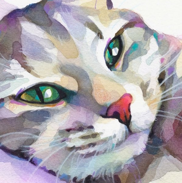 Thumbnail of p-cq8mag3i491-a415c0c311324ebc 1