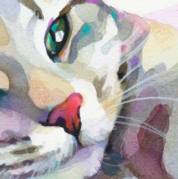 Thumbnail of p-cq8mag3i491-a415c0c311324ebc 2