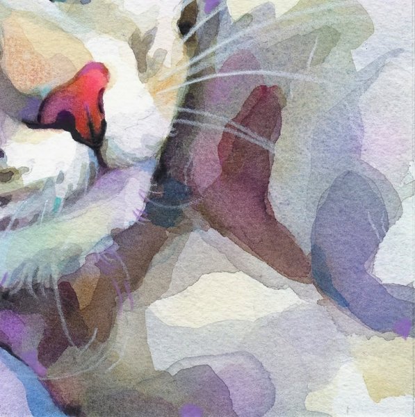 Thumbnail of p-cq8mag3i491-a415c0c311324ebc 3