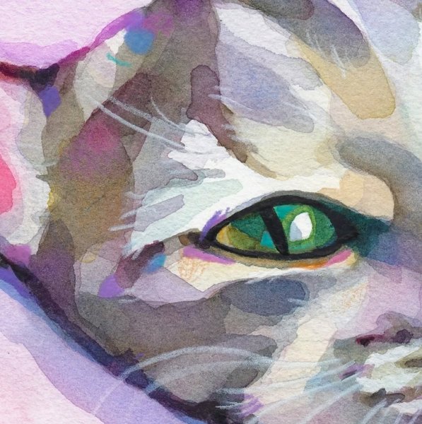 Thumbnail of p-cq8mag3i491-a415c0c311324ebc 4