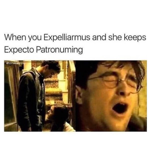 Thumbnail of p-bzlgmxdamm3-a4345c39443f4cc8 1