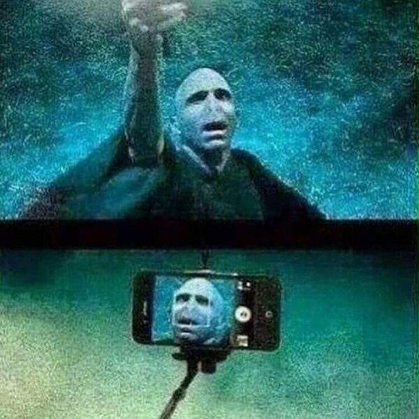 Thumbnail of p-bzlgmxdamm3-a4345c39443f4cc8 7