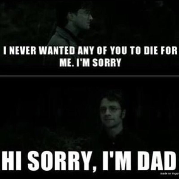 Thumbnail of p-bzlgmxdamm3-a4345c39443f4cc8 9