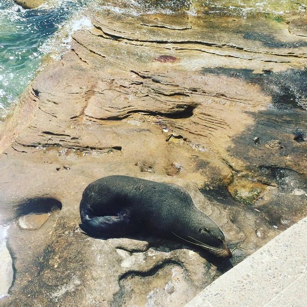 Thumbnail of p-bz8i3zed81a-a46993d9d76b46a5 0