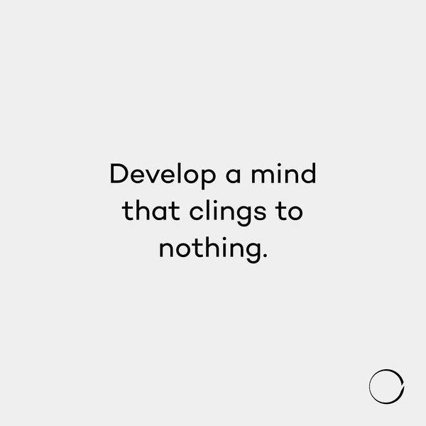 Thumbnail of p-bpt4oelg7mn-a46eaece2cf640d5 0