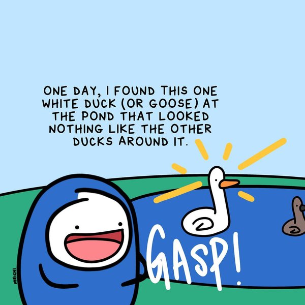 Thumbnail of p-cd5qd5waoaf-a48838982da44304 1