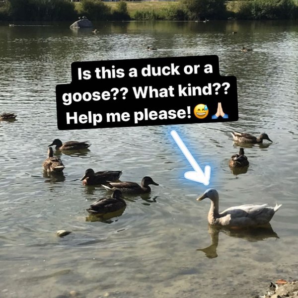 Thumbnail of p-cd5qd5waoaf-a48838982da44304 7