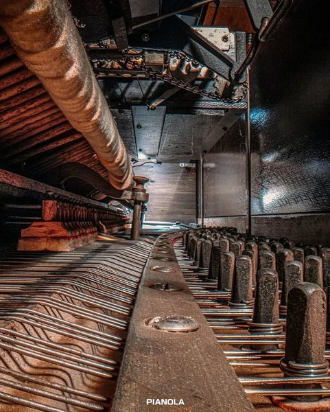 Thumbnail of www-instagram-com-p-dqhdpbpdnuy-img-index-14 16