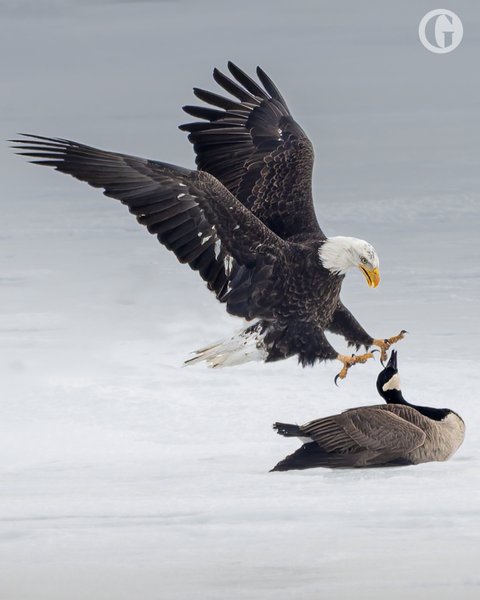Thumbnail of p-dg1tkjcp20i-a4f5746108b249a6 2