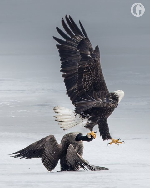 Thumbnail of p-dg1tkjcp20i-a4f5746108b249a6 3