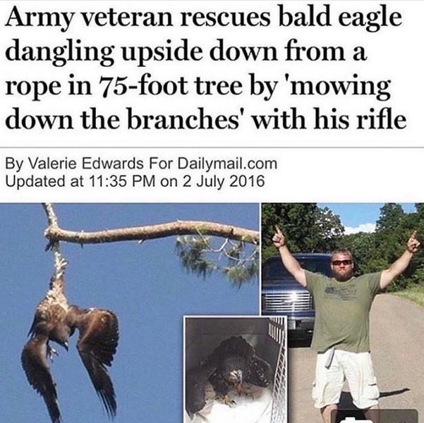 Thumbnail of p-b8rqxualfxd-a50e5e1d14f74d9e 0