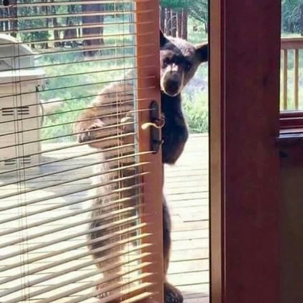 Thumbnail of p-ckxmzbjg2t7-a5143646d033442c 0