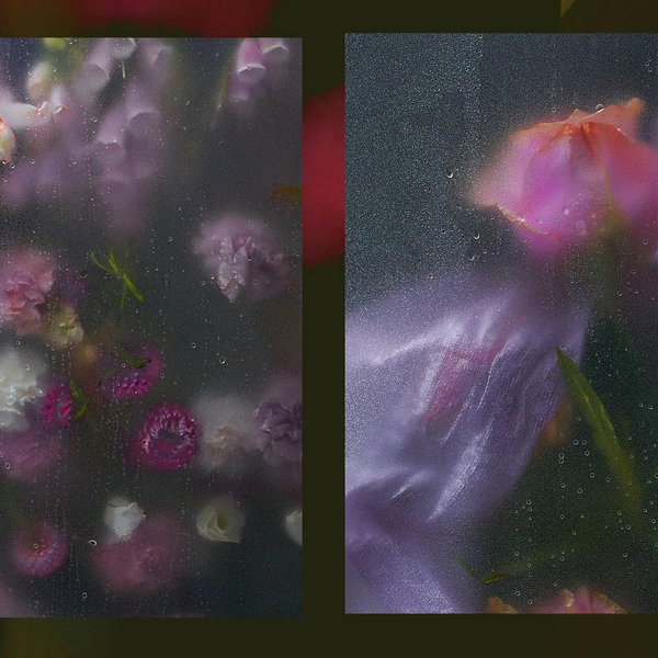 Thumbnail of p-cudely4r0n8-a515249168274e2b 1