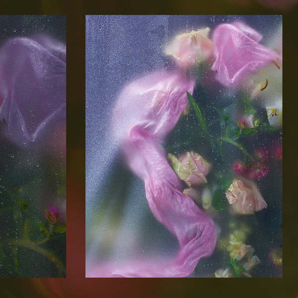 Thumbnail of p-cudely4r0n8-a515249168274e2b 2