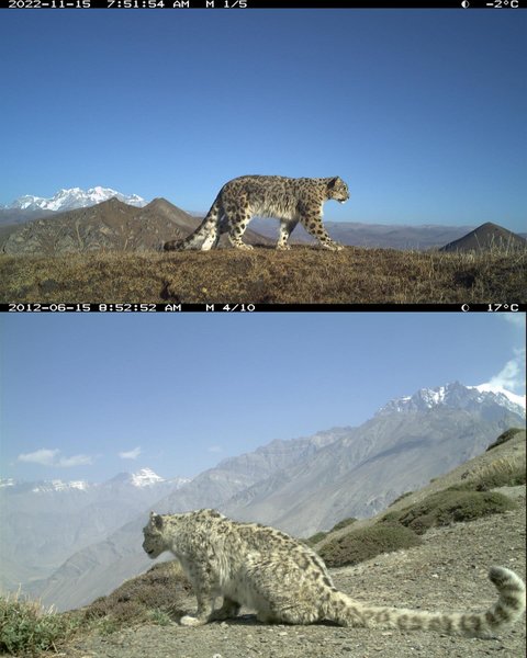 Thumbnail of p-dcslwgnp7wj-a549544ae2f34426 13