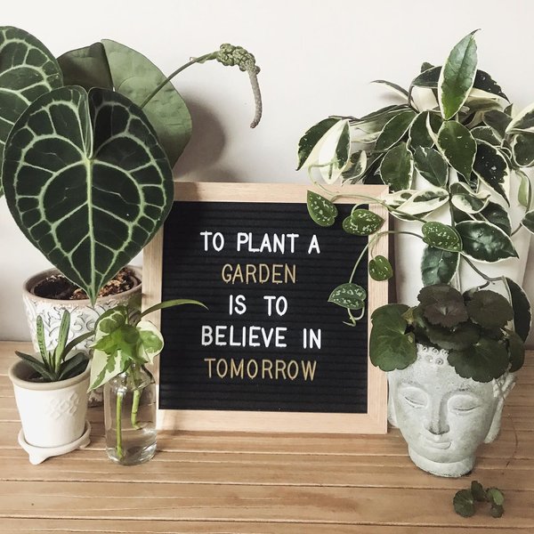 Thumbnail of cblvwqsg-dg-a56b9fab6d4849ae 0