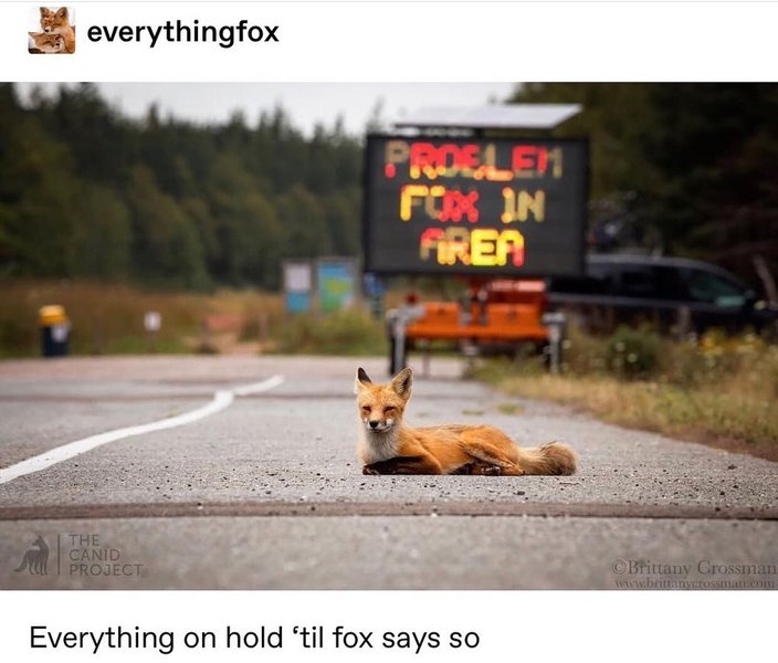 Thumbnail of b-vzvybb4hr-a58e72943fee46f2 0