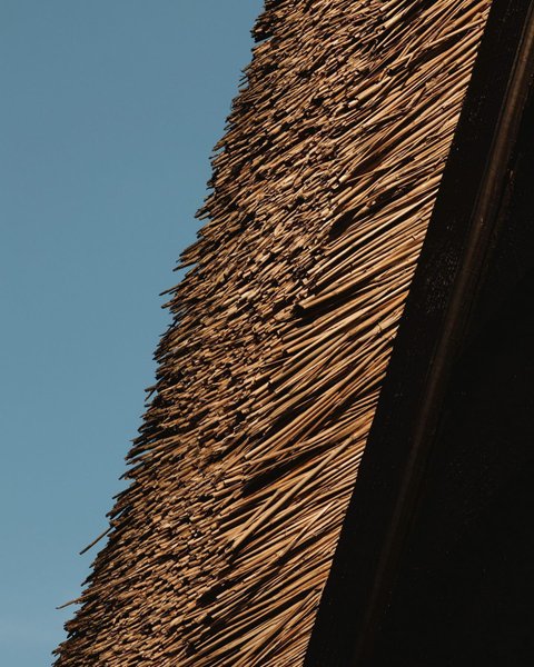 Thumbnail of p-cm6tfmrotad-a594efe8f32b4a79 4