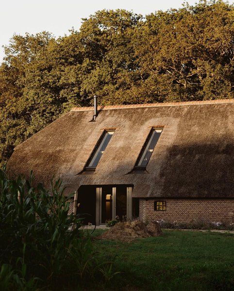 Thumbnail of p-cm6tfmrotad-a594efe8f32b4a79 9