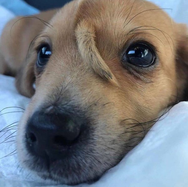 Thumbnail of p-ckeuzdct9q7-a6474605320643db 0