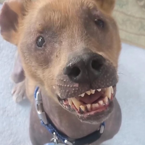 Thumbnail of p-ckeuzdct9q7-a6474605320643db 6