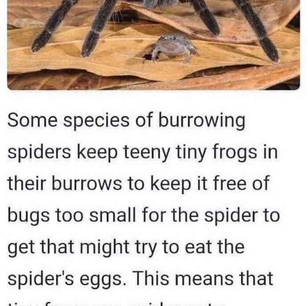 Thumbnail of p-ckeuzdct9q7-a6474605320643db 9