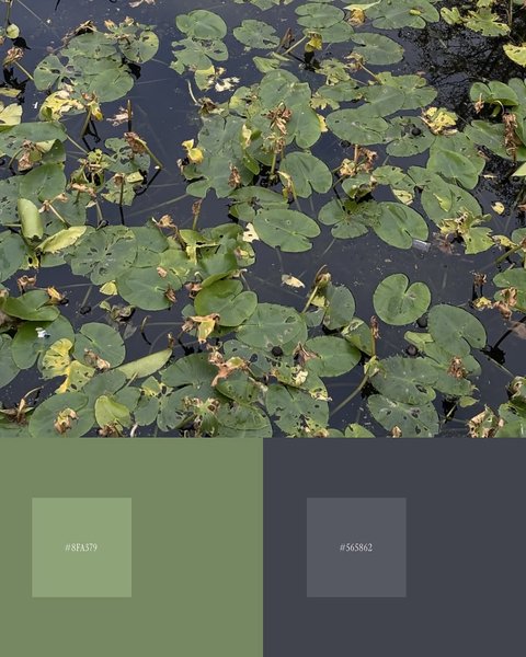 Thumbnail of www-instagram-com-p-dp1pfoodpra-img-index-10 8