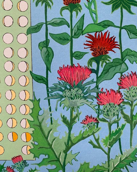 Thumbnail of p-cuu0sb6fl1k-a673164086984608 2